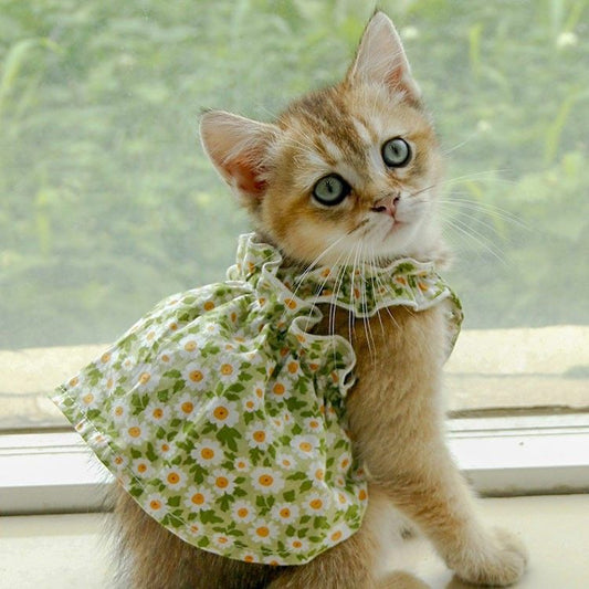 Pet Fashion Spring And Summer Strap Dress